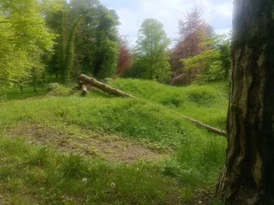 Village martyr du Vieux Craonne — photo 2