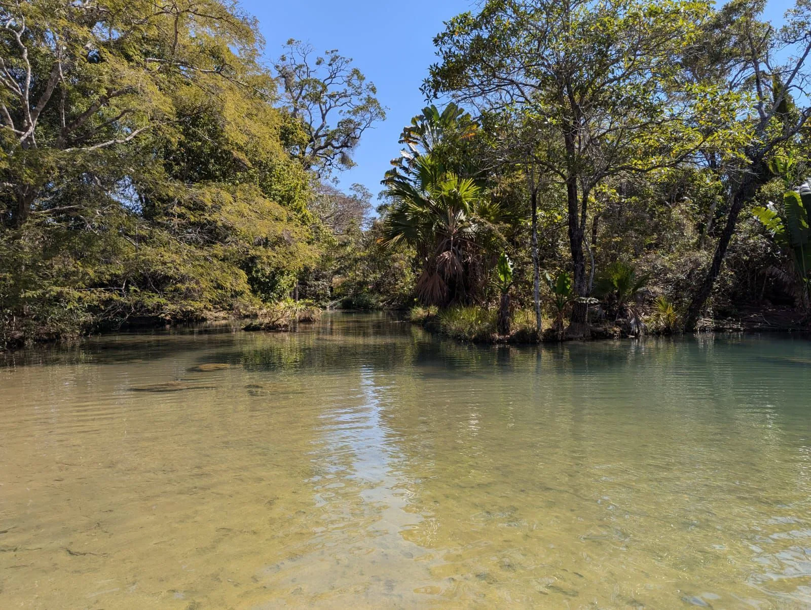 Piscine naturelle