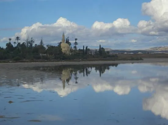 Lac salé de Larnaca