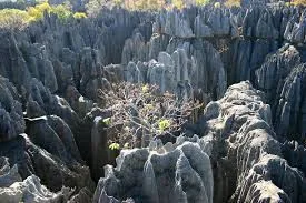 Parc national Tsingy de Bemaraha — photo 2