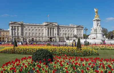 Buckingham Palace — photo 2