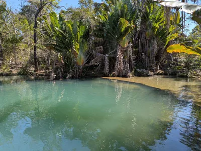 Piscine naturelle — photo 2