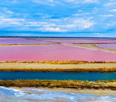 Les salins d'Aigues-Mortes