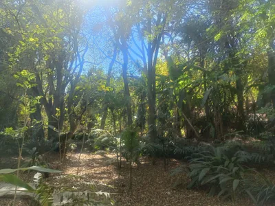Croc Farm Ivato — photo 3