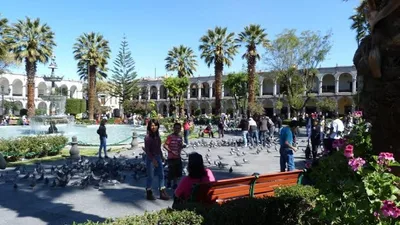 Place d'armes (Plaza Mayor) — photo 2