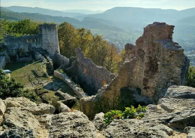 Ruines Dorneck — photo 3