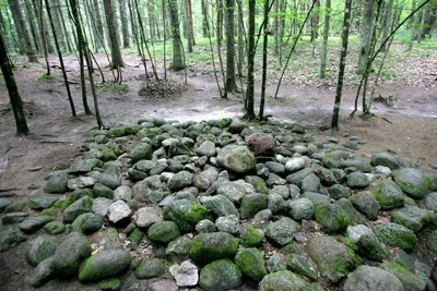 Pokaini Forest STONES