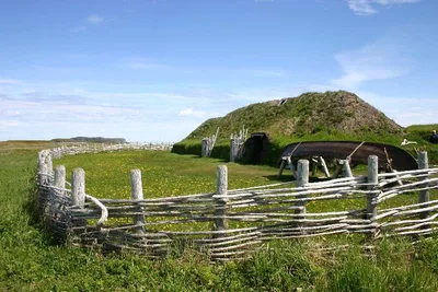 Vinland — photo 2