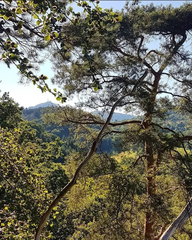 Point de vu