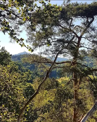 Point de vu