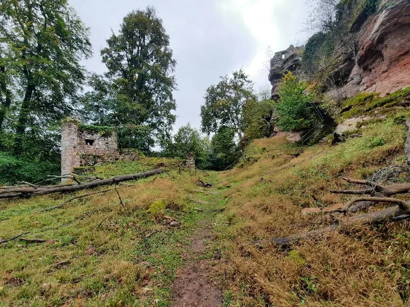 Château d'Ochsenstein