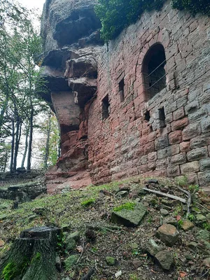 Château d'Ochsenstein — photo 2