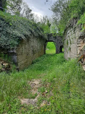 Cité de la Mothe — photo 3