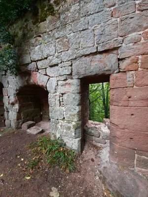 Château d'Ochsenstein — photo 3