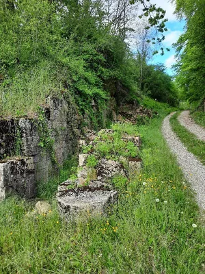 Cité de la Mothe — photo 4