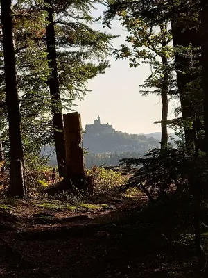 Kuhbergfelsen le rocher du Kuhberg.. — photo 3