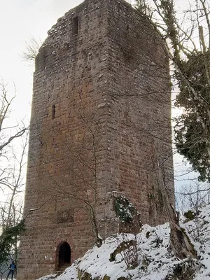 Château du Nideck — photo 2