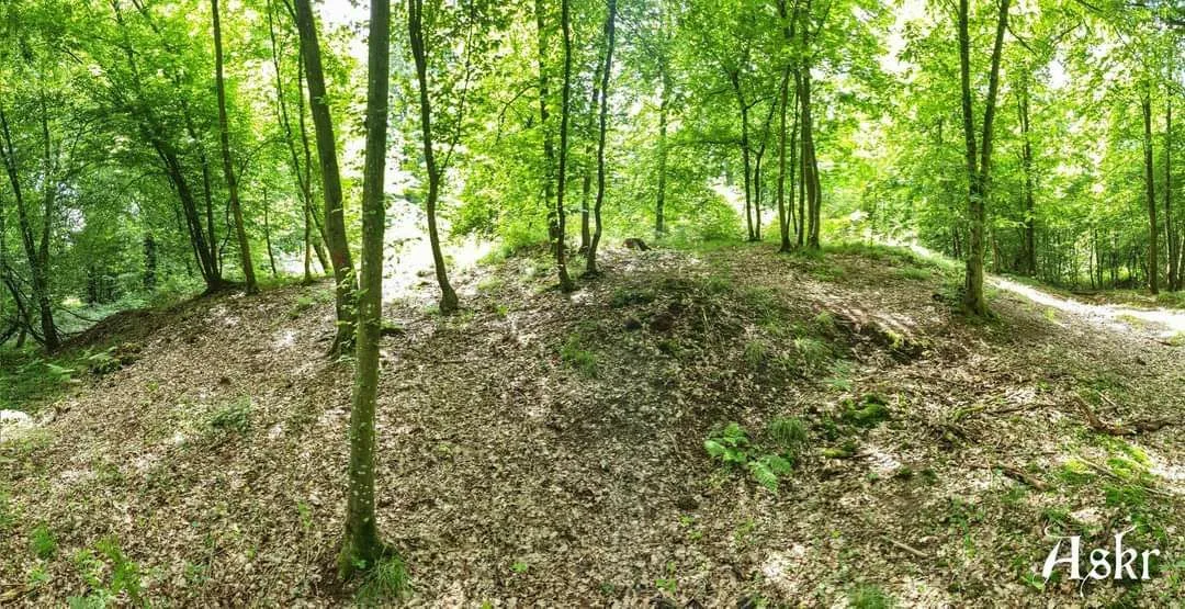 Tumulus de Brumath (Nécropole celte)