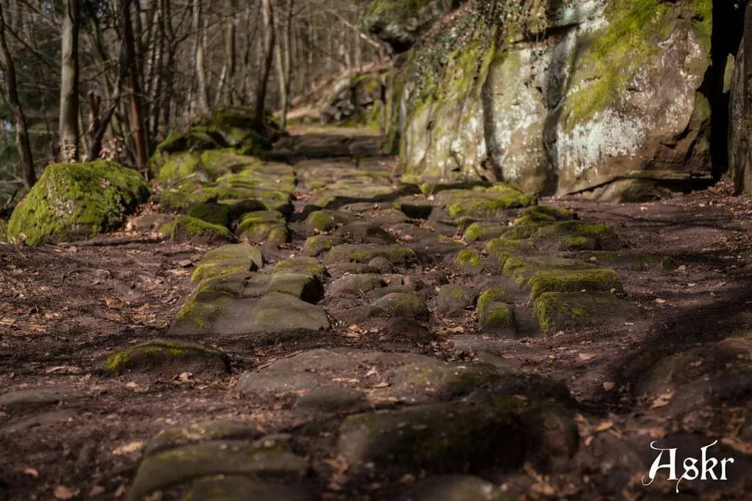 Plattenweg ou voie romaine