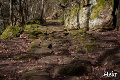 Plattenweg ou voie romaine