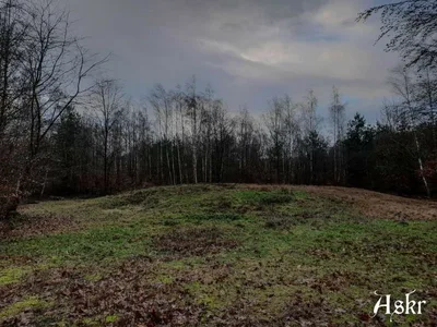 Tumulus de Brumath (Nécropole celte) — photo 2