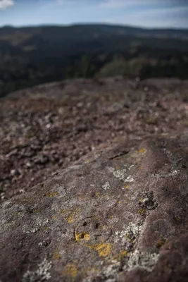 Geisfels (ou Rocher de la Chèvre) — photo 6