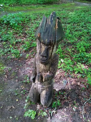 Étang de Guesne — photo 2