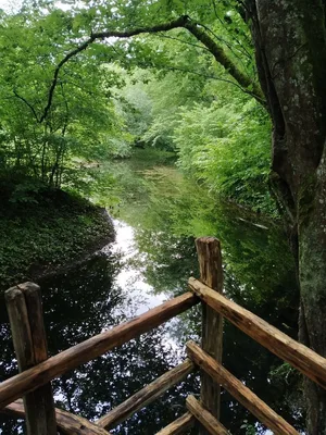 Étang de Guesne — photo 3