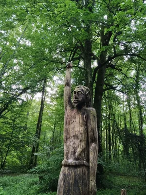 Étang de Guesne — photo 4