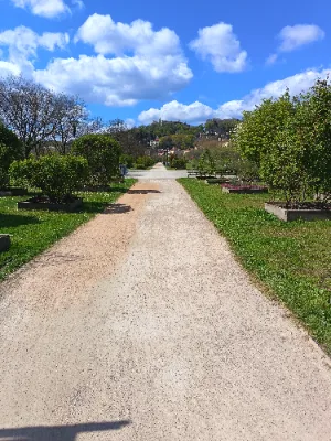 La roseraie de Saint Claire — photo 2