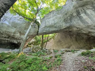 La grotte du Bisontin — photo 2