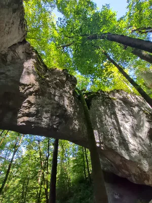 La grotte du Bisontin — photo 5