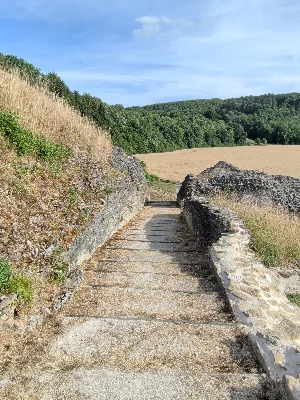 Théâtre Gallo Romain de Mandeure — photo 10