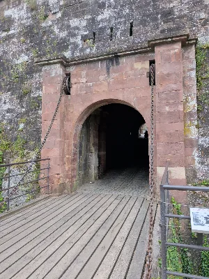 La citadelle de Belfort — photo 1