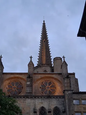 Cathédrale Saint-Maurice de Mirepoix — photo 2