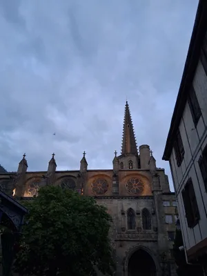 Cathédrale Saint-Maurice de Mirepoix