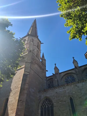 Cathédrale Saint-Maurice de Mirepoix — photo 3