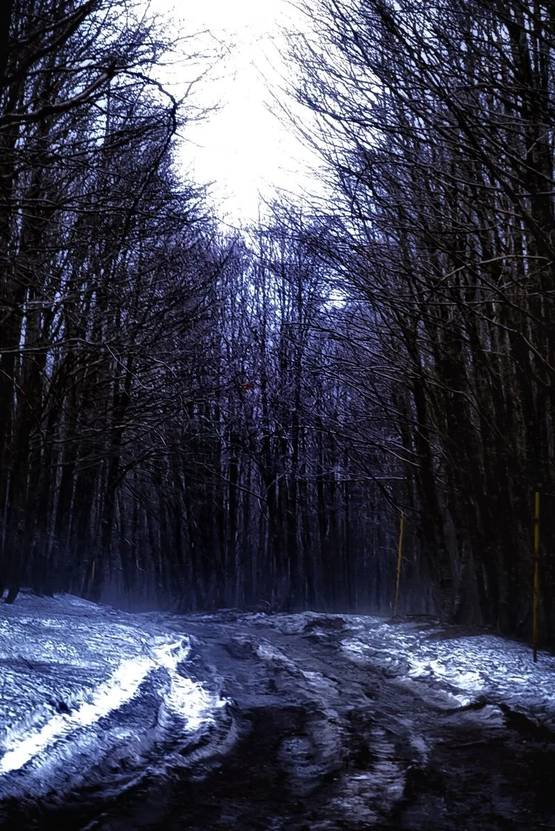 Parco dei Nebrodi