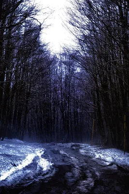 Parco dei Nebrodi — photo 1