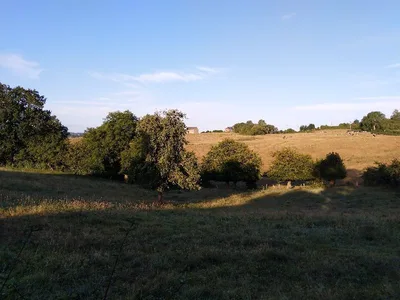 Sous le Mont-au-Leu