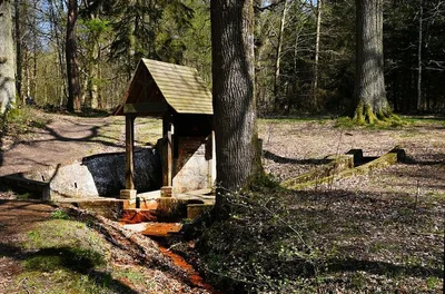 Source de la Chevrette