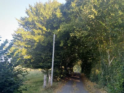 Sous le Mont-au-Leu — photo 2