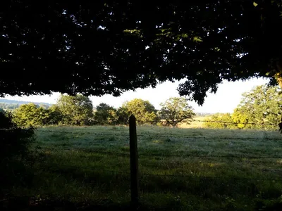 Sous le Mont-au-Leu — photo 3