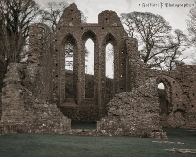Inch Abbey — photo 2