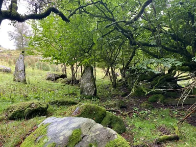 The monumental stones on erland — photo 2