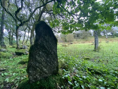 The monumental stones on erland — photo 3