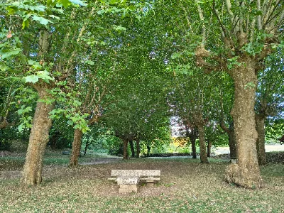 Plan d'eau de Montfaucon — photo 4
