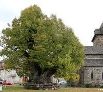 Le Sully
