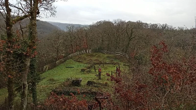 La Motte Castrale d’Olivet