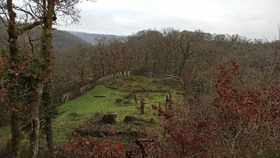 La Motte Castrale d’Olivet — photo 1